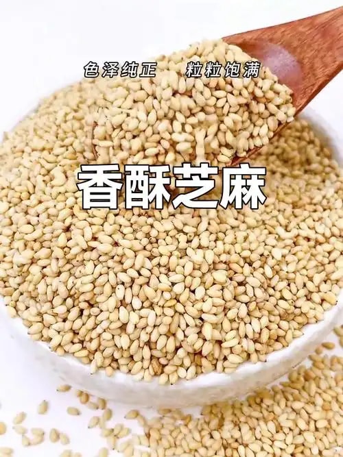 芝麻