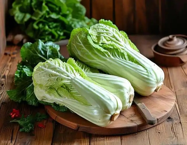 大白菜