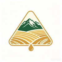 企业logo