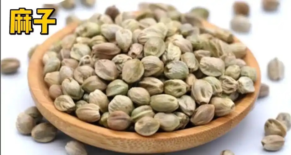 胡麻籽