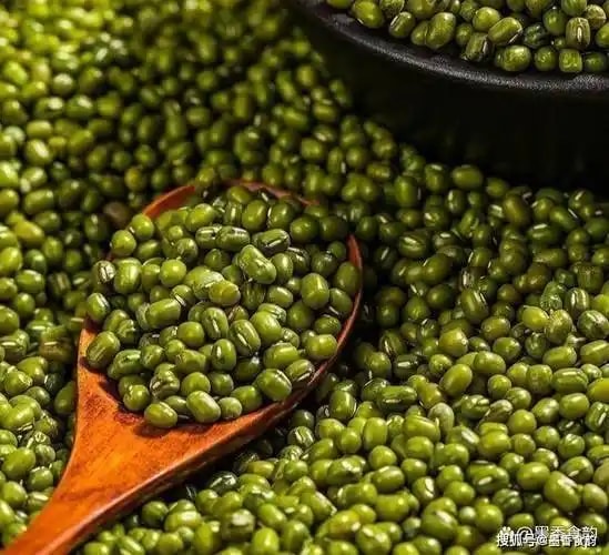 黄豆