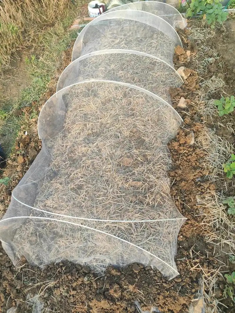 防虫网