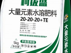 石嘴山农业服务产业合作对接会