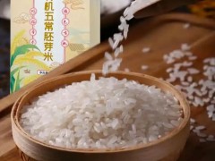 石嘴山果蔬保鲜技术交流会