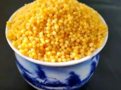农业种植保险政策速览